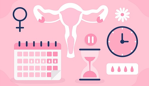 Diferencia entre premenopausia, perimenopausia, menopausia y climaterio Diferencia entre premenopausia, perimenopausia, menopausia y climaterio