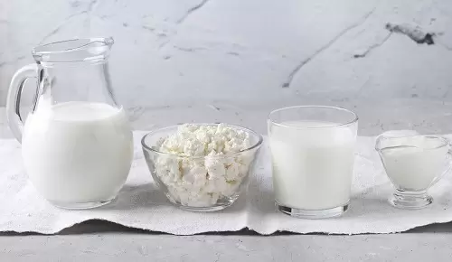 ¿Cómo ayudan los probióticos en la menopausia? ¿Cómo ayudan los probióticos en la menopausia?