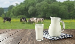 ¿Qué leche es mejor en la menopausia?