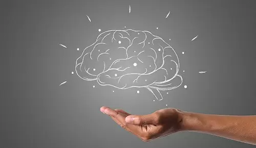 ¿Cómo afecta la menopausia al cerebro? ¿Cómo afecta la menopausia al cerebro?