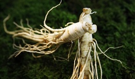 Propiedades del ginseng en la menopausia