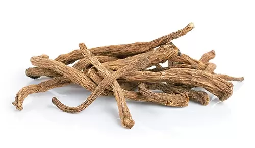 Dong quai en la menopausia Dong quai en la menopausia