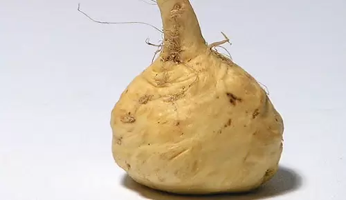 ¿Cómo ayuda la maca en la menopausia? ¿Cómo ayuda la maca en la menopausia?