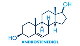 ¿Qué pasa con los andrógenos en la menopausia?