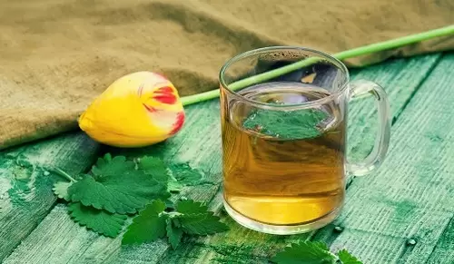 Beneficios de la melisa en la menopausia Beneficios de la melisa en la menopausia