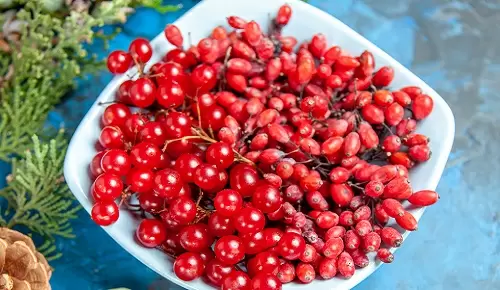 Beneficios de la berberina en la menopausia Beneficios de la berberina en la menopausia