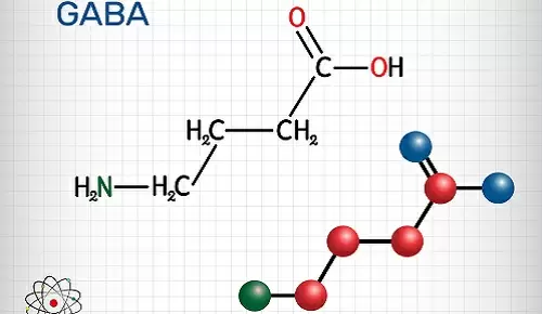 ¿Cómo ayuda GABA en la menopausia? ¿Cómo ayuda GABA en la menopausia?