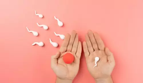 ¿Cómo saber si todavía puedo tener hijos? ¿Cómo saber si todavía puedo tener hijos?
